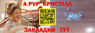 шишки Тулун