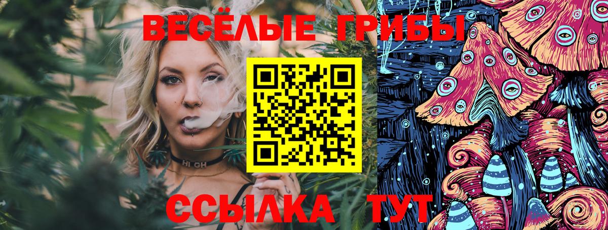 Псилоцибиновые грибы Cubensis  закладка  Вход с VPN  Алатырь  Галлюциногенные грибы мухоморы 