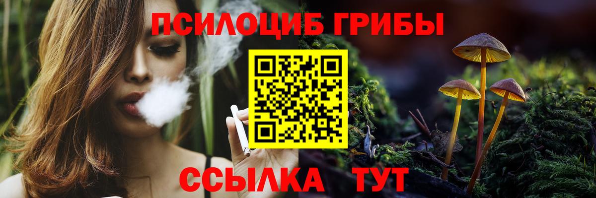 Псилоцибиновые грибы ЛСД Алатырь